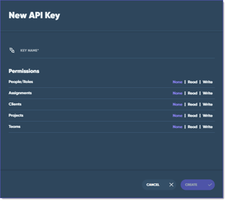 add api key new