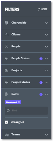 filters chips roles