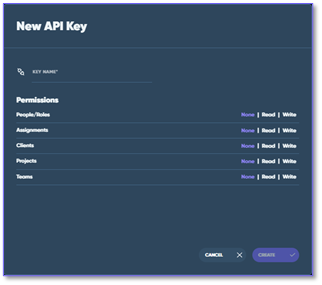 new api key dialog