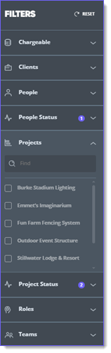 projects filter new